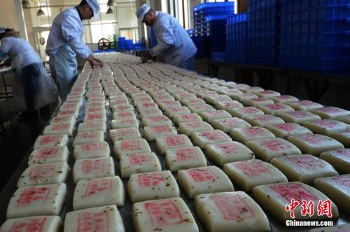 資料圖：師傅們在把制作好的桂花糖年糕擺放整齊。王思哲 攝