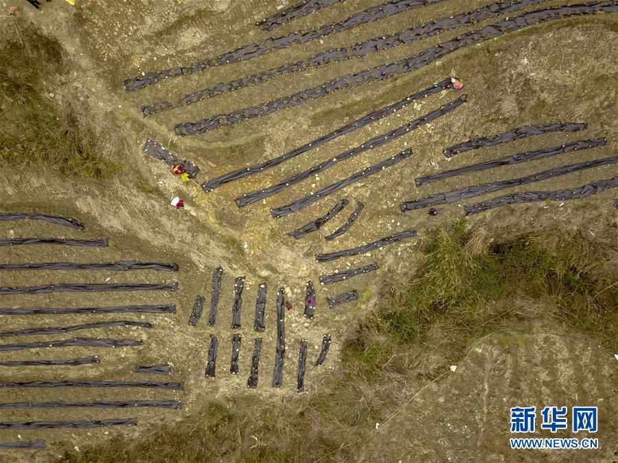 （新春走基層）（15）重慶黔江：土家三老漢 一臺&ldquo;扶貧戲&rdquo;