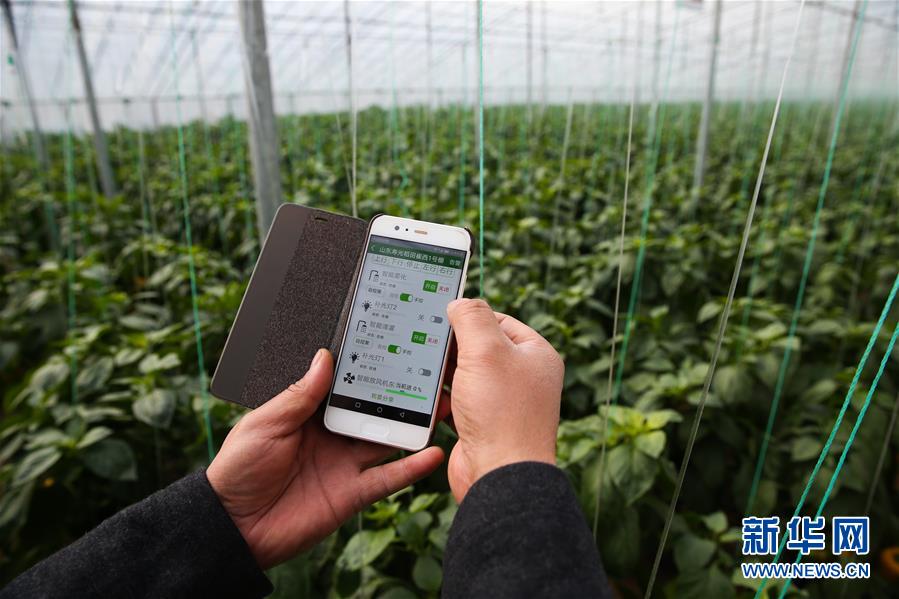 （新華全媒頭條&middot;圖文互動(dòng)）（8）聚焦高質(zhì)量，躍上新臺(tái)階&mdash;&mdash;新年開局看中國(guó)經(jīng)濟(jì)信心和潛力