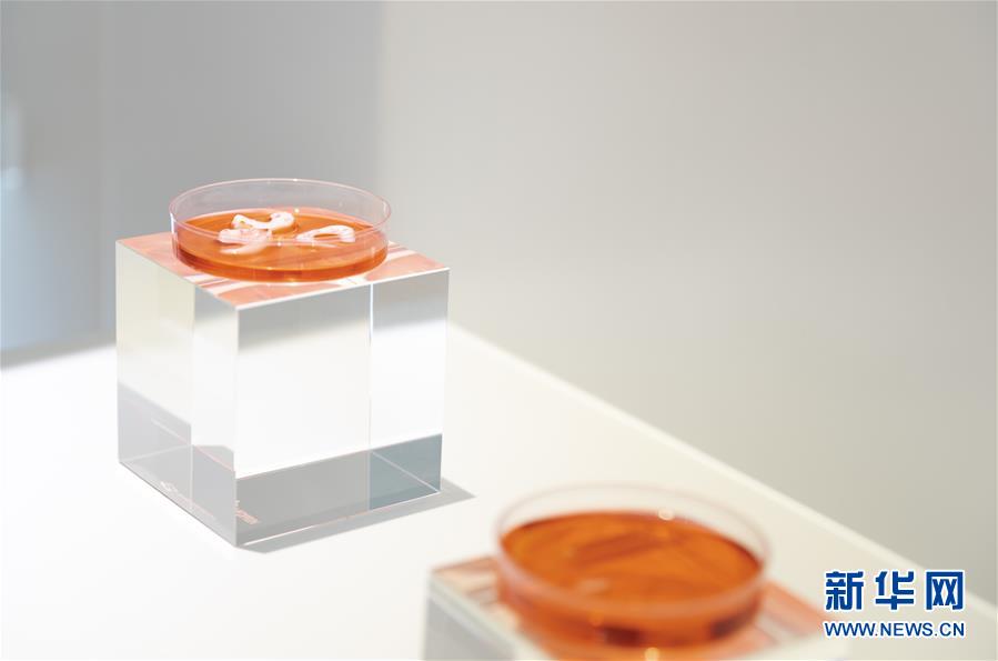 （兩會前夕看落實(shí)&middot;圖文互動(dòng)）（4）&ldquo;三個(gè)第一&rdquo;催奮進(jìn) 珠江潮起再出發(fā)&mdash;&mdash;廣東落實(shí)習(xí)近平總書記全國兩會重要講話精神紀(jì)實(shí)