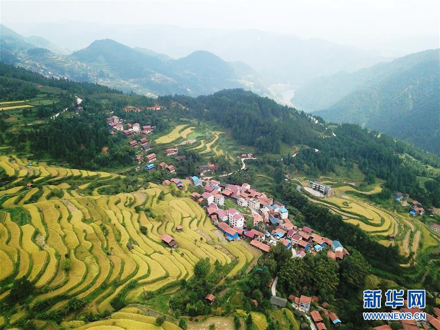 (兩會前夕看落實·圖文互動)(6)決戰(zhàn)脫貧攻堅 奮力后發(fā)趕超——貴州落實習(xí)近平總書記全國兩會重要講話精神紀(jì)實