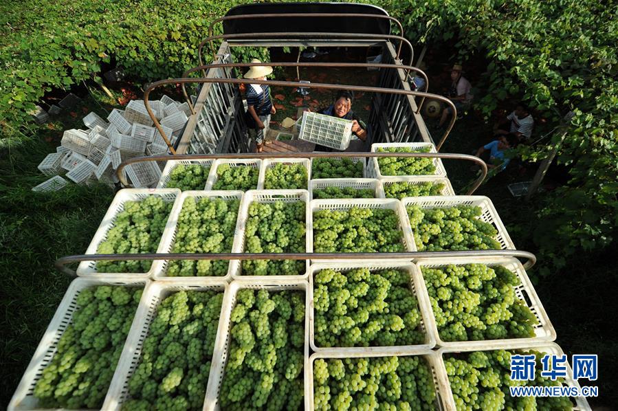 (兩會前夕看落實·圖文互動)(7)決戰(zhàn)脫貧攻堅 奮力后發(fā)趕超——貴州落實習(xí)近平總書記全國兩會重要講話精神紀(jì)實