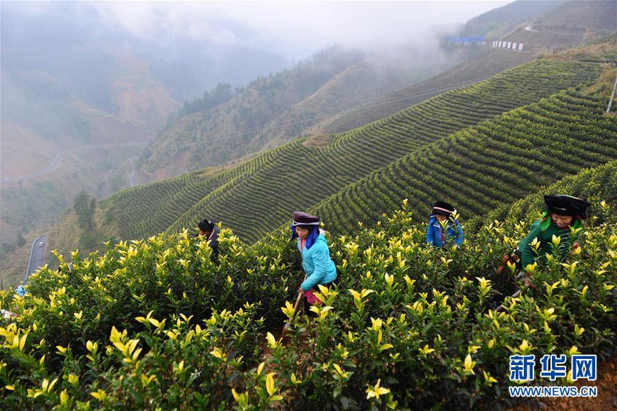 (兩會前夕看落實·圖文互動)(8)決戰(zhàn)脫貧攻堅 奮力后發(fā)趕超——貴州落實習(xí)近平總書記全國兩會重要講話精神紀(jì)實