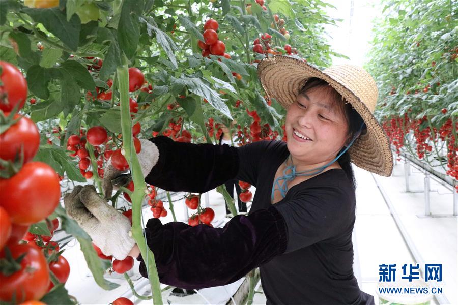 （兩會前夕看落實&middot;圖文互動）（8）奮力脫貧攻堅 生態(tài)追&ldquo;清&rdquo;逐&ldquo;綠&rdquo;&mdash;&mdash;江西落實習近平總書記全國兩會重要講話精神紀實