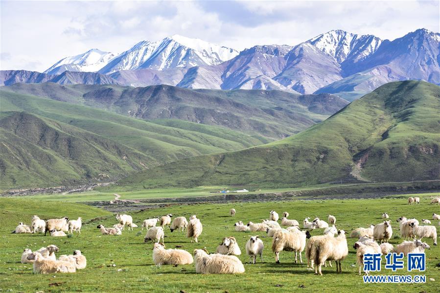 （兩會(huì)前夕看落實(shí)&middot;圖文互動(dòng)）（1）以&ldquo;一優(yōu)兩高&rdquo;戰(zhàn)略描繪三江源壯美畫卷&mdash;&mdash;青海落實(shí)習(xí)近平總書記全國(guó)兩會(huì)重要講話精神紀(jì)實(shí)