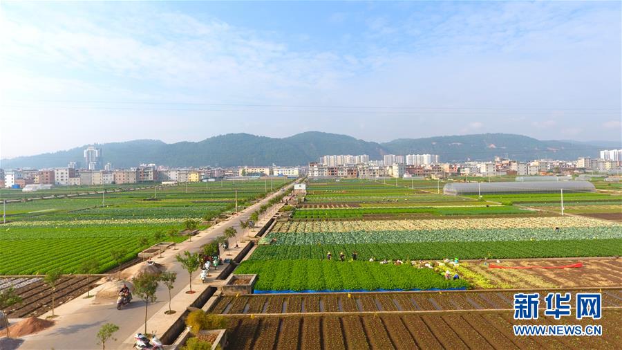 （新華全媒頭條&middot;圖文互動(dòng)）（7）滄海桑田一指間&mdash;&mdash;6個(gè)村莊的70年巨變 