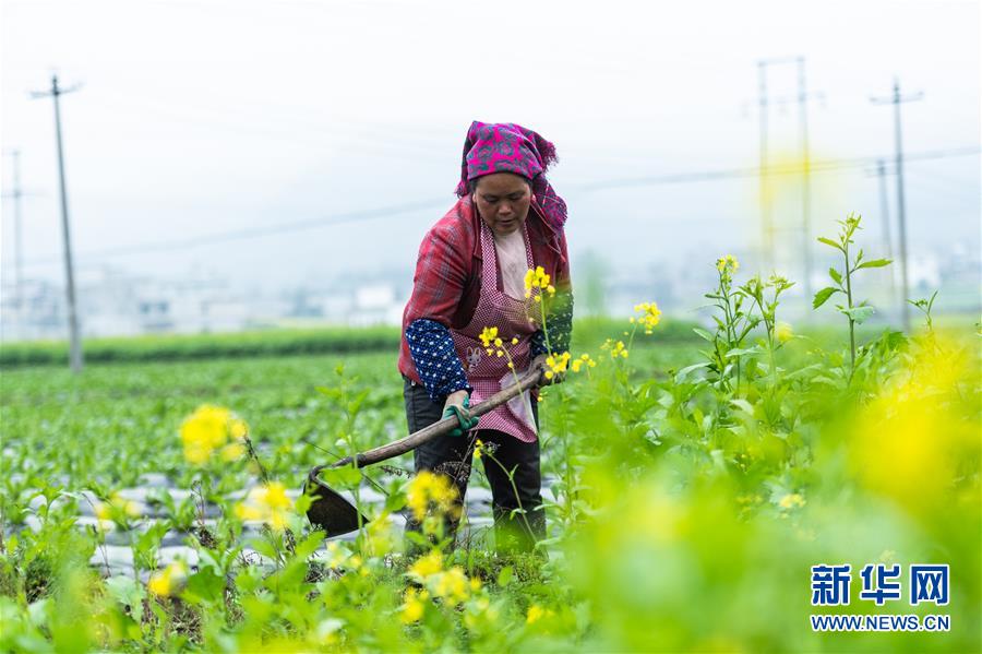 （社會）（1）貴州啟動脫貧攻堅&ldquo;春季攻勢&rdquo;