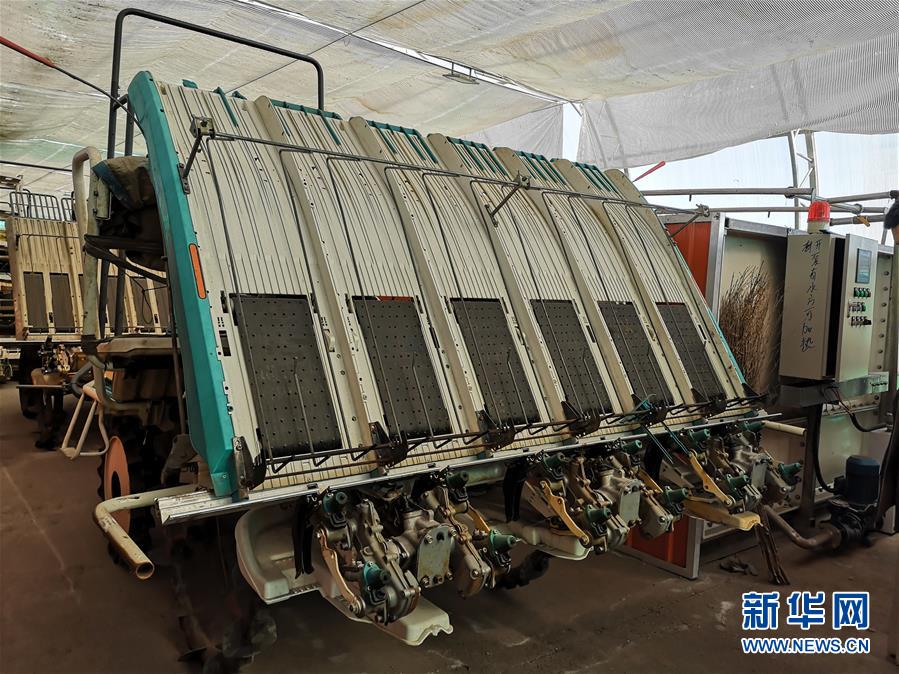 （在習近平新時代中國特色社會主義思想指引下&mdash;&mdash;新時代新作為新篇章&middot;圖文互動）（2）黑土地上感受&ldquo;中國飯碗&rdquo;新變化