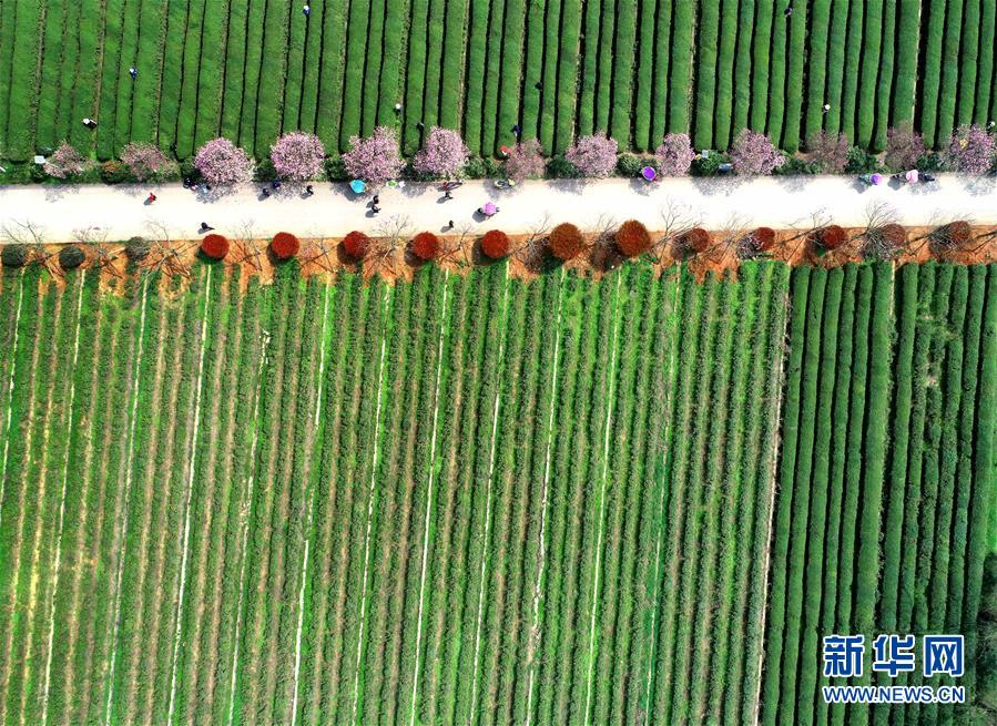 （新華全媒頭條&middot;兩會精神看落實&middot;圖文互動）（3）保持戰(zhàn)略定力 跨越重要關(guān)口&mdash;&mdash;落實兩會精神加強生態(tài)文明建設(shè)述評