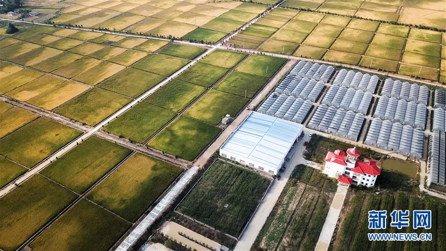 （新華全媒頭條&middot;愛國情 奮斗者&middot;圖文互動）（8）一個村的奮斗，一個時代的巨變&mdash;&mdash;記敢&ldquo;蹚新路&rdquo;的小崗人