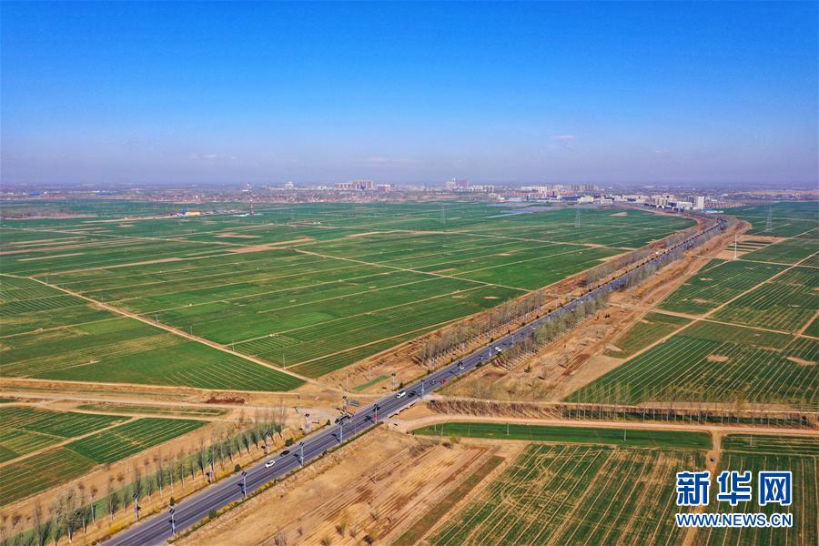 （新華全媒頭條&middot;圖文互動(dòng)）（2）奮進(jìn)，向著未來之城！&mdash;&mdash;河北雄安新區(qū)建設(shè)發(fā)展兩周年紀(jì)實(shí)