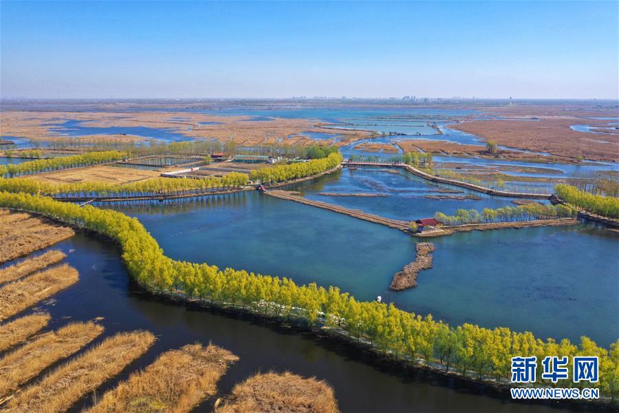 （新華全媒頭條&middot;圖文互動(dòng)）（5）奮進(jìn)，向著未來之城！&mdash;&mdash;河北雄安新區(qū)建設(shè)發(fā)展兩周年紀(jì)實(shí)