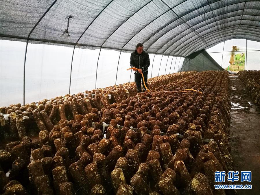 （新華全媒頭條&middot;圖文互動(dòng)）（1）以生命赴使命 用熱血鑄忠魂&mdash;&mdash;記犧牲在脫貧攻堅(jiān)戰(zhàn)場(chǎng)上的英雄們