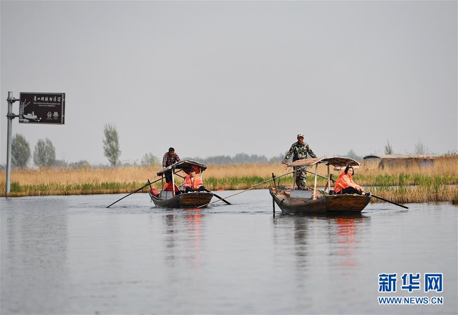 （壯麗70年&middot;奮斗新時(shí)代&middot;圖文互動(dòng)）（6）從革命老區(qū)到雄安新區(qū) 白洋淀迎來新生