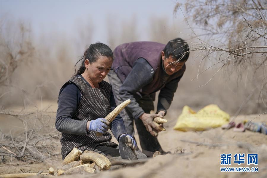 （新華全媒頭條&middot;圖文互動(dòng)）（6）一步千年，&ldquo;最后的沙漠部落&rdquo;遷入新家園