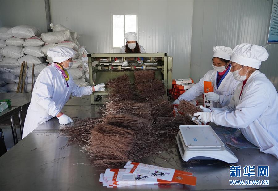 (走基層 聽民聲·圖文互動)(5)電商扶貧 讓陜西山區(qū)農(nóng)業(yè)擁抱“藍海”