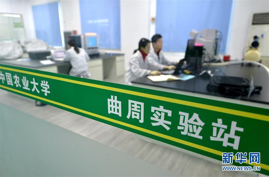 （愛(ài)國(guó)情 奮斗者&middot;圖文互動(dòng)）（3） &ldquo;解民生之多艱，育天下之英才&rdquo;&mdash;&mdash;中國(guó)農(nóng)大師生扎根田野書寫奉獻(xiàn)之歌