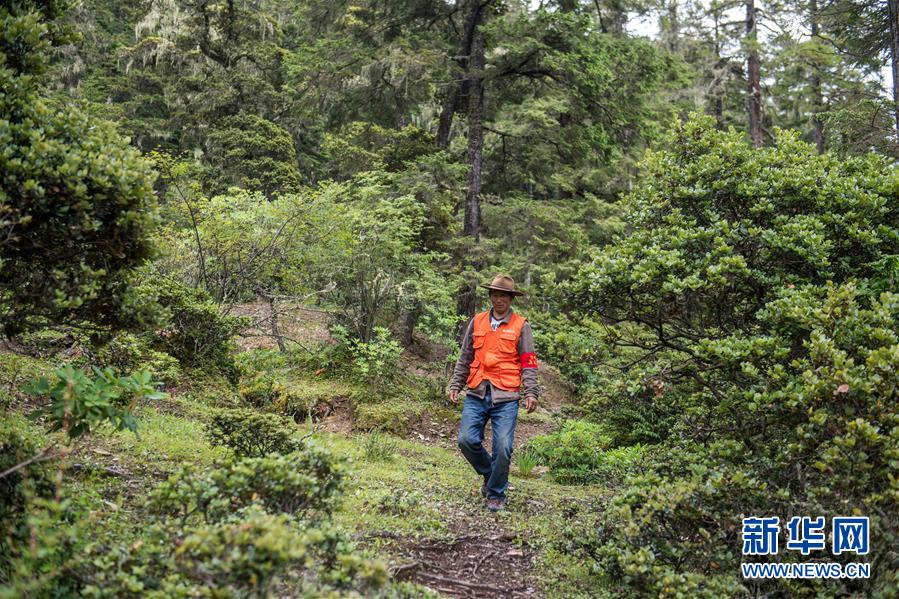（新華全媒頭條&middot;北京世園會(huì)&middot;圖文互動(dòng)）（13）建設(shè)美麗中國(guó) 共筑綠色家園&mdash;&mdash;寫(xiě)在2019年中國(guó)北京世界園藝博覽會(huì)開(kāi)幕之際