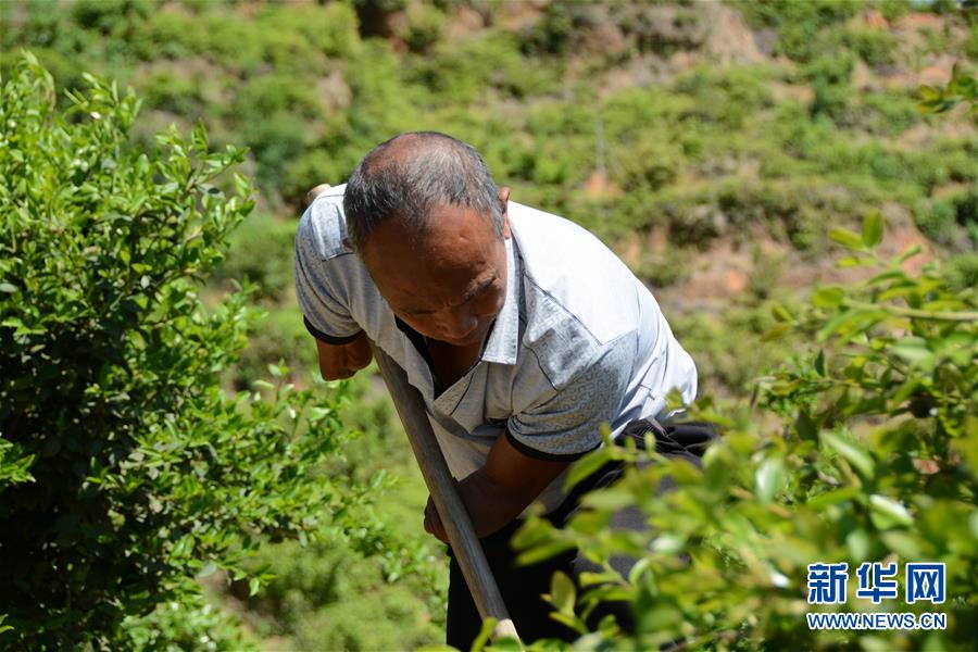 (壯麗70年&middot;奮斗新時(shí)代&middot;圖文互動(dòng)）（1）福建長(zhǎng)?。簱Q顏&ldquo;山光水濁&rdquo; 永駐綠水青山
