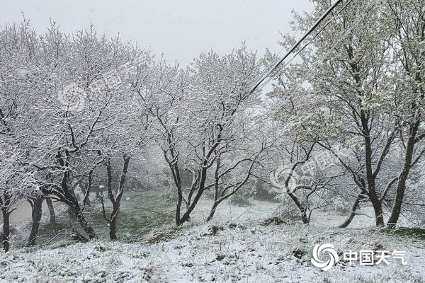 冷空氣要撤啦！今日全國降水整體弱 華南仍有強對流