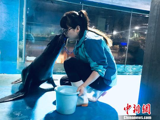 于雅麗與海獅親密瞬間?！“瑧c龍 攝