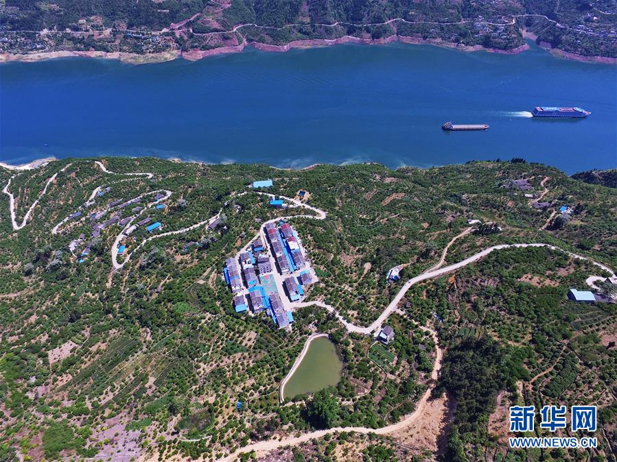 （在習(xí)近平新時(shí)代中國(guó)特色社會(huì)主義思想指引下&mdash;&mdash;新時(shí)代新作為新篇章）（2）重慶巫山：&ldquo;生態(tài)寶貝&rdquo;變身&ldquo;搖錢樹&rdquo;