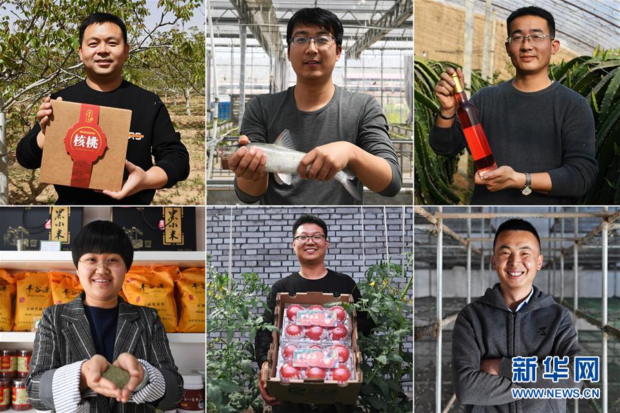 (在習(xí)近平新時(shí)代中國(guó)特色社會(huì)主義思想指引下——新時(shí)代新作為新篇章·圖文互動(dòng))(1)在綠色田野上書(shū)寫(xiě)青春答卷——幾位“新農(nóng)民”的返鄉(xiāng)創(chuàng)業(yè)故事