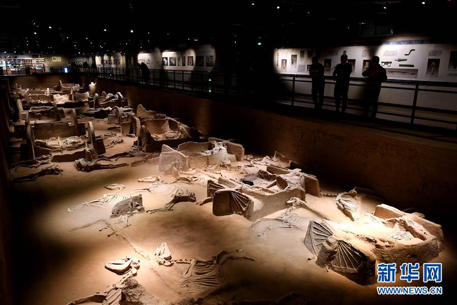 （新華全媒頭條&middot;圖文互動(dòng)）（4）&ldquo;若問古今興廢事，請君只看洛陽城&rdquo;&mdash;&mdash;千年古都&ldquo;烹制&rdquo;博物館盛宴