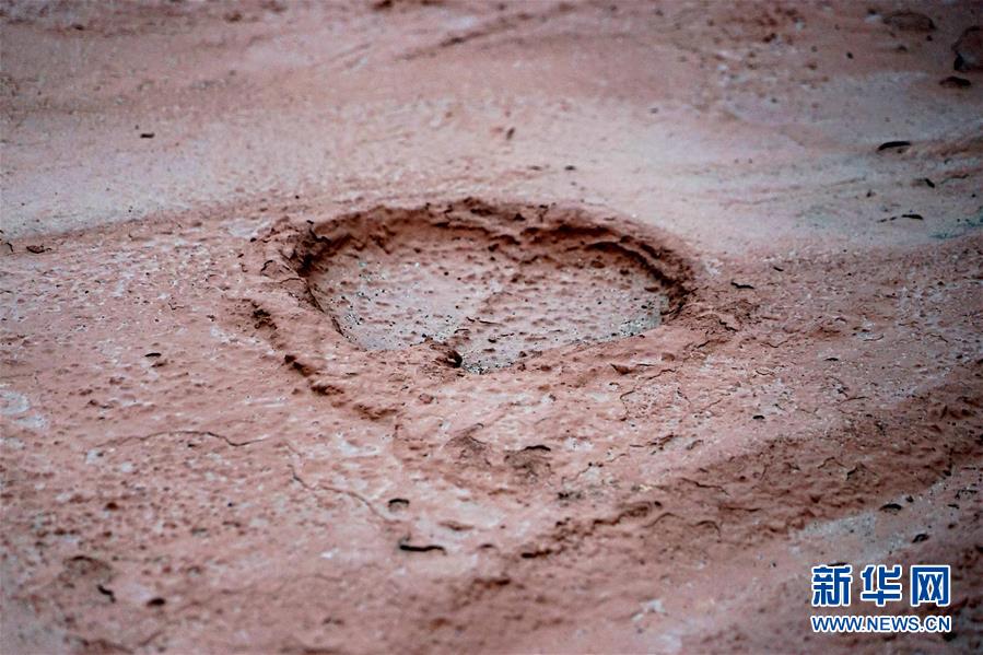 （新華全媒頭條&middot;圖文互動(dòng)）（8）&ldquo;若問古今興廢事，請(qǐng)君只看洛陽城&rdquo;&mdash;&mdash;千年古都&ldquo;烹制&rdquo;博物館盛宴