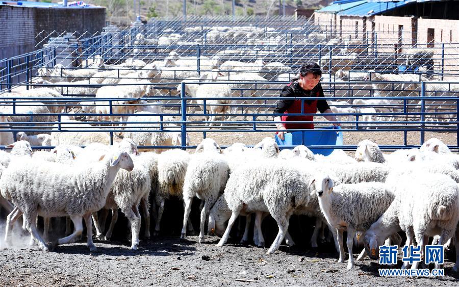（圖文互動(dòng)）（2）柳暗花明又一村&mdash;&mdash;&ldquo;今日之中國(guó)&rdquo;系列述評(píng)之三