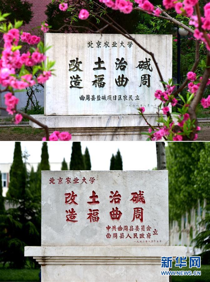 （新華全媒頭條&middot;愛(ài)國(guó)情 奮斗者&middot;圖文互動(dòng)）（2）把論文寫(xiě)在祖國(guó)的大地上&mdash;&mdash;中國(guó)農(nóng)業(yè)大學(xué)46年扎根河北曲周服務(wù)鄉(xiāng)村振興紀(jì)實(shí)