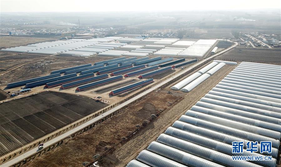 （在習(xí)近平新時(shí)代中國(guó)特色社會(huì)主義思想指引下&mdash;&mdash;新時(shí)代新作為新篇章&middot;圖文互動(dòng)）（3）&ldquo;無(wú)人作業(yè)&rdquo;來臨 綠色食品&ldquo;當(dāng)家&rdquo;&mdash;&mdash;黑龍江探索現(xiàn)代農(nóng)業(yè)發(fā)展路徑