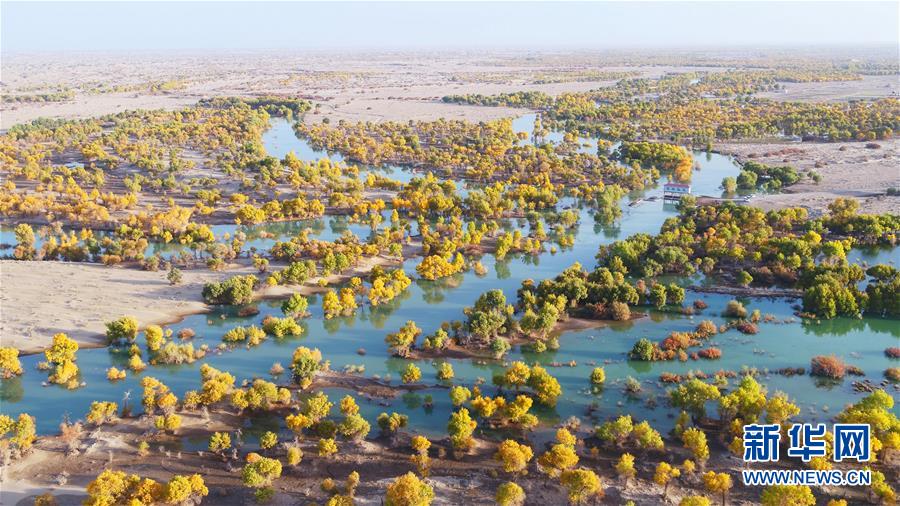 （新華全媒頭條&middot;圖文互動(dòng)）（4）大河歸來