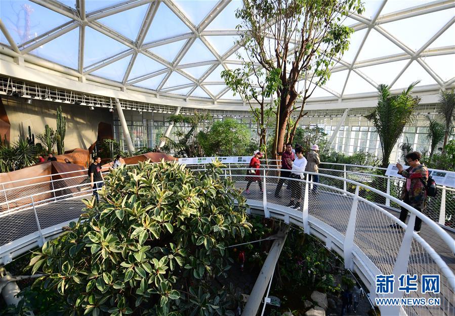 （在習(xí)近平新時代中國特色社會主義思想指引下&mdash;&mdash;新時代新作為新篇章&middot;圖文互動）（10）從世園會&ldquo;看&rdquo;中國綠色發(fā)展之路&mdash;&mdash;寫在北京世園會&ldquo;中國國家館日&rdquo;到來之際