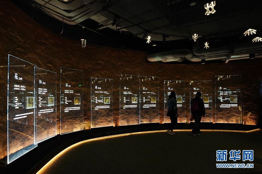 (在習(xí)近平新時(shí)代中國(guó)特色社會(huì)主義思想指引下——新時(shí)代新作為新篇章·圖文互動(dòng))(4)從世園會(huì)“看”中國(guó)綠色發(fā)展之路——寫在北京世園會(huì)“中國(guó)國(guó)家館日”到來(lái)之際