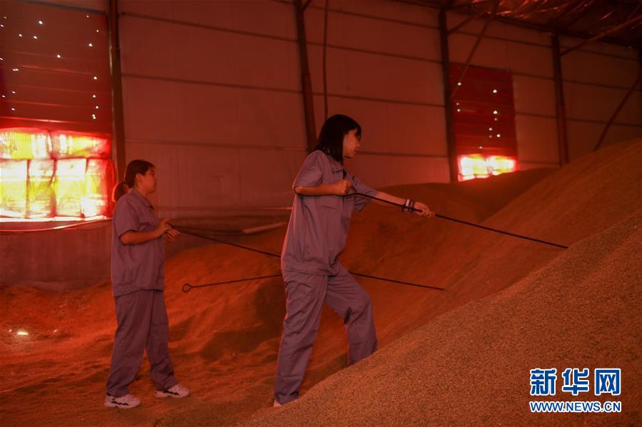 （在習(xí)近平新時(shí)代中國(guó)特色社會(huì)主義思想指引下&mdash;&mdash;新時(shí)代新作為新篇章&middot;圖文互動(dòng)）（4）大學(xué)生種田讓農(nóng)民&ldquo;老把式&rdquo;開(kāi)了眼&mdash;&mdash;吉林長(zhǎng)白山下的稻田新事