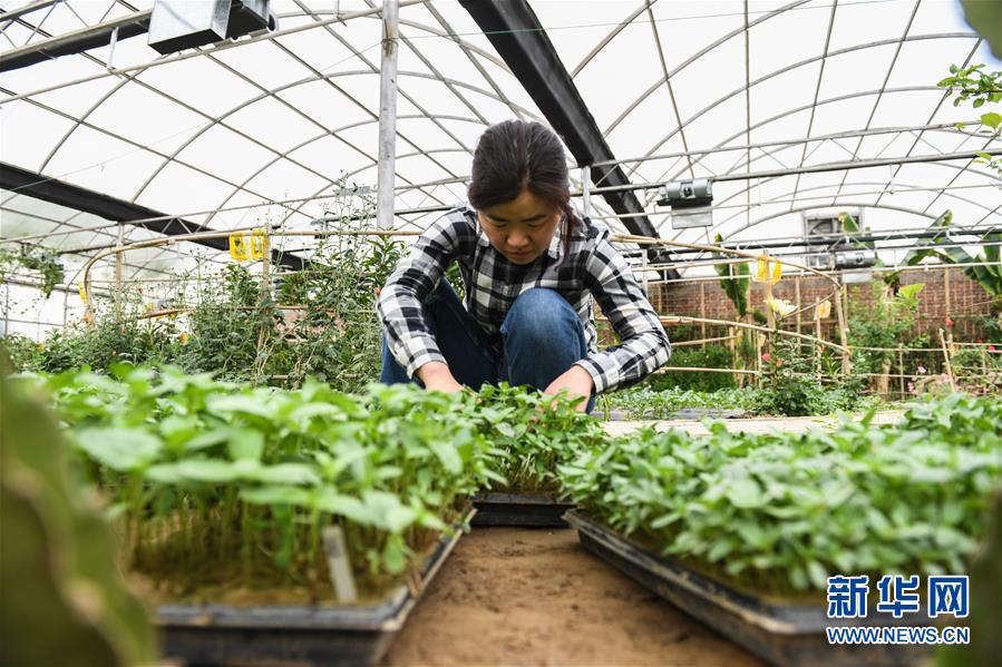 （權(quán)威訪談&middot;聚焦中國經(jīng)濟(jì)亮點(diǎn)&middot;圖文互動(dòng)）（5）防治土地荒漠化 推動(dòng)綠色發(fā)展&mdash;&mdash;專訪國家林業(yè)和草原局副局長(zhǎng)劉東生