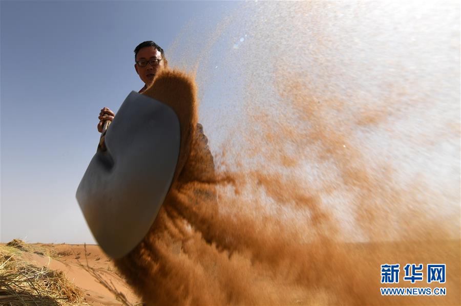 （權(quán)威訪談&middot;聚焦中國經(jīng)濟(jì)亮點(diǎn)&middot;圖文互動(dòng)）（10）防治土地荒漠化 推動(dòng)綠色發(fā)展&mdash;&mdash;專訪國家林業(yè)和草原局副局長(zhǎng)劉東生