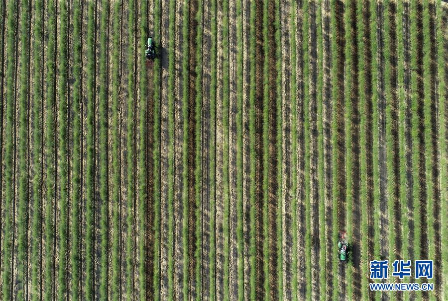 （新華全媒頭條&middot;壯麗70年&middot;奮斗新時代&middot;圖文互動）（8）中國減貧的西海固報告