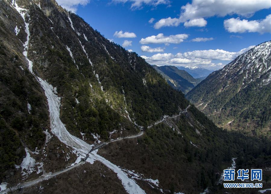 （直過民族脫貧攻堅(jiān)&middot;圖文互動(dòng)）（1）滿目青山變成&ldquo;綠色銀行&rdquo;&mdash;&mdash;我國獨(dú)龍族人民走出綠色脫貧之路