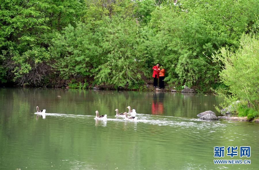 （在習(xí)近平新時代中國特色社會主義思想指引下&mdash;&mdash;新時代新作為新篇章&middot;圖文互動）（4）在這里，遇見&ldquo;詩和遠(yuǎn)方&rdquo;&mdash;&mdash;長白山下&ldquo;第一鎮(zhèn)&rdquo;的全域旅游實(shí)踐