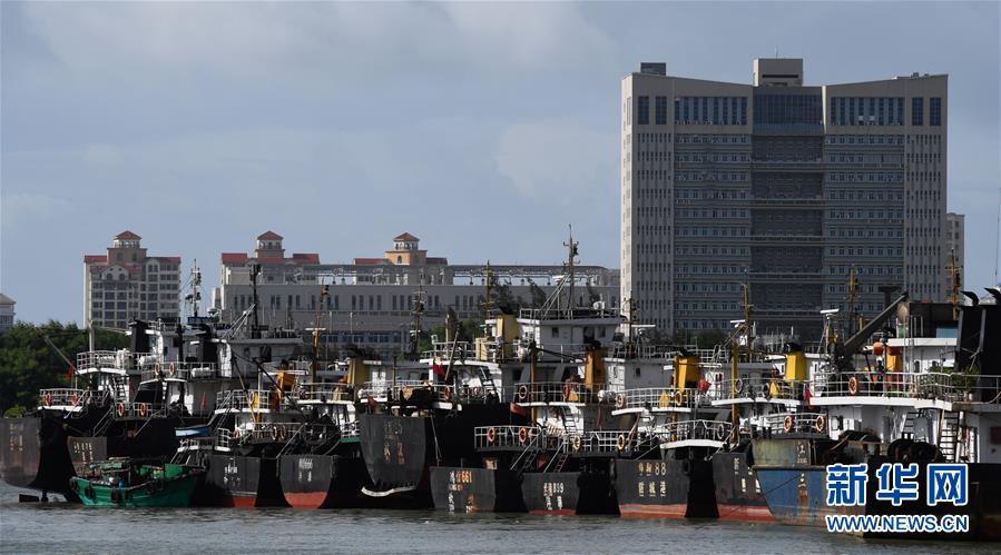 （社會(huì)）（1）?？冢捍盎馗郾芘_(tái)風(fēng)