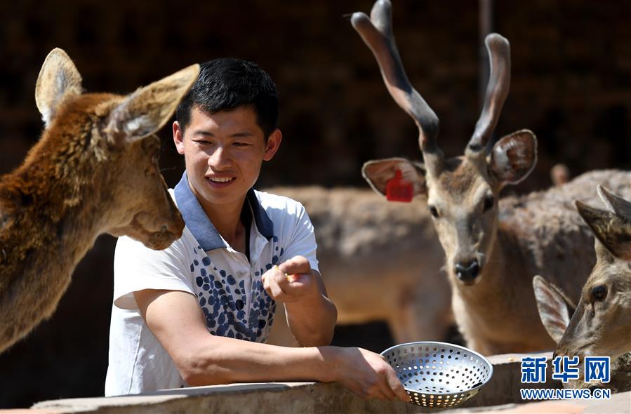 （新華全媒頭條&middot;圖文互動）（8）紅色土地上的不變初心&mdash;&mdash;革命老區(qū)井岡山和延安脫貧啟示錄