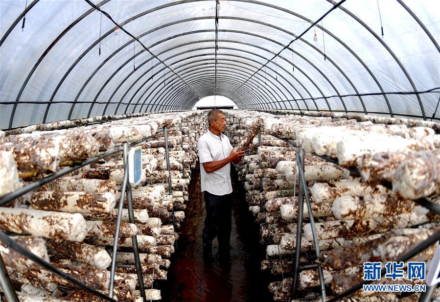 （新華全媒頭條&middot;圖文互動）（10）一個傳統(tǒng)農(nóng)業(yè)縣的脫貧之路&mdash;&mdash;來自河北新河的調(diào)查報告