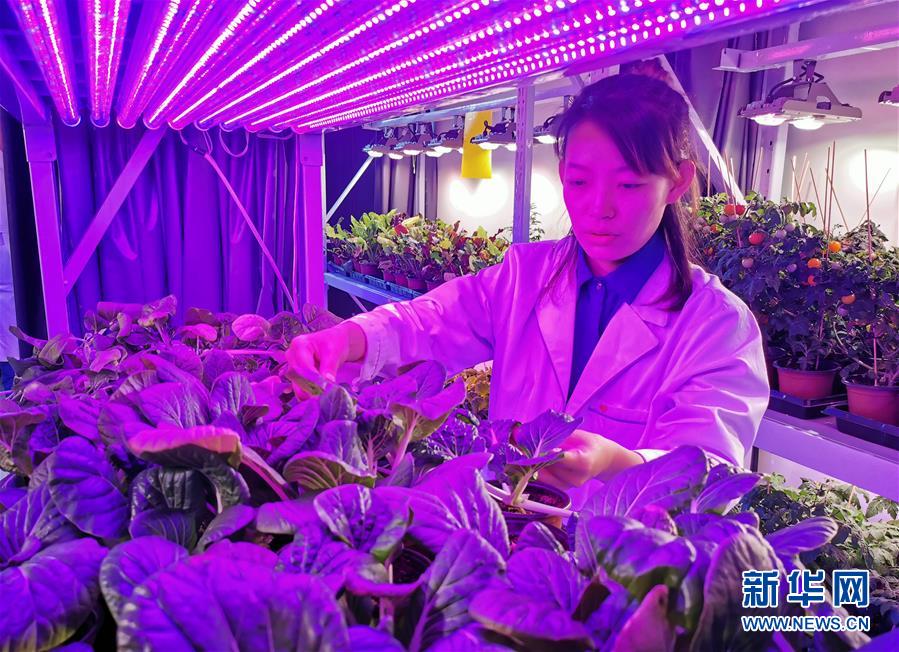 （愛(ài)國(guó)情 奮斗者&middot;圖文互動(dòng)）（5）池建義團(tuán)隊(duì)：把論文寫在產(chǎn)品上