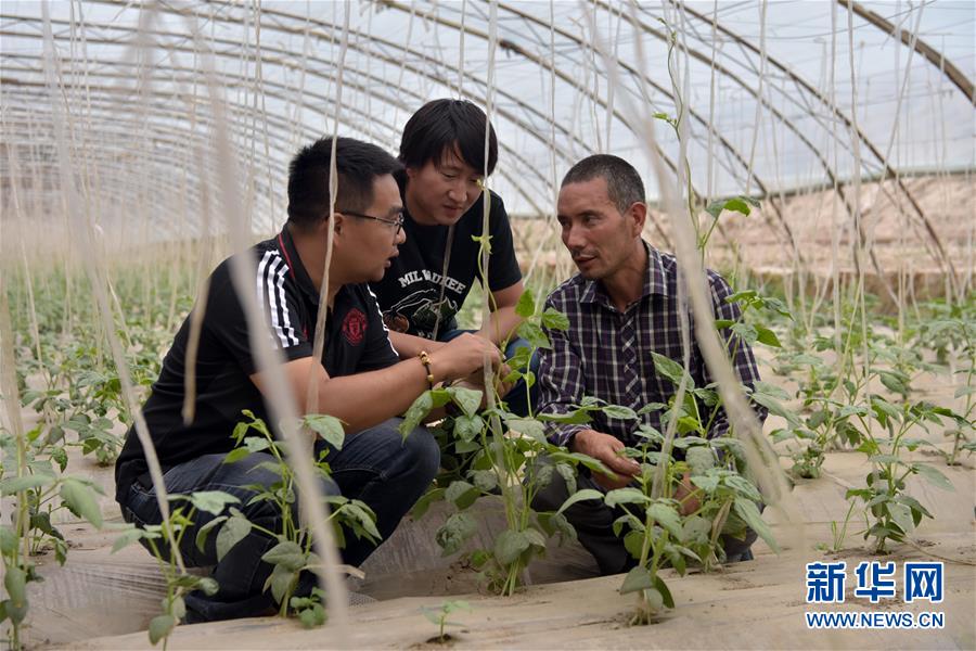 （新華全媒頭條&middot;圖文互動）（10）同心援疆，&ldquo;壯闊&rdquo;祖國西北角