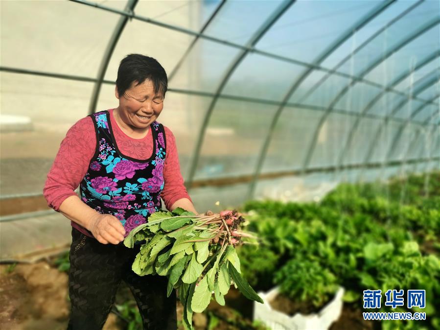 (圖文互動(dòng))(3)(在習(xí)近平新時(shí)代中國(guó)特色社會(huì)主義思想指引下——新時(shí)代新作為新篇章)“團(tuán)結(jié)”振興團(tuán)結(jié)村——黑龍江拜泉縣團(tuán)結(jié)村凝聚民心攻堅(jiān)脫貧