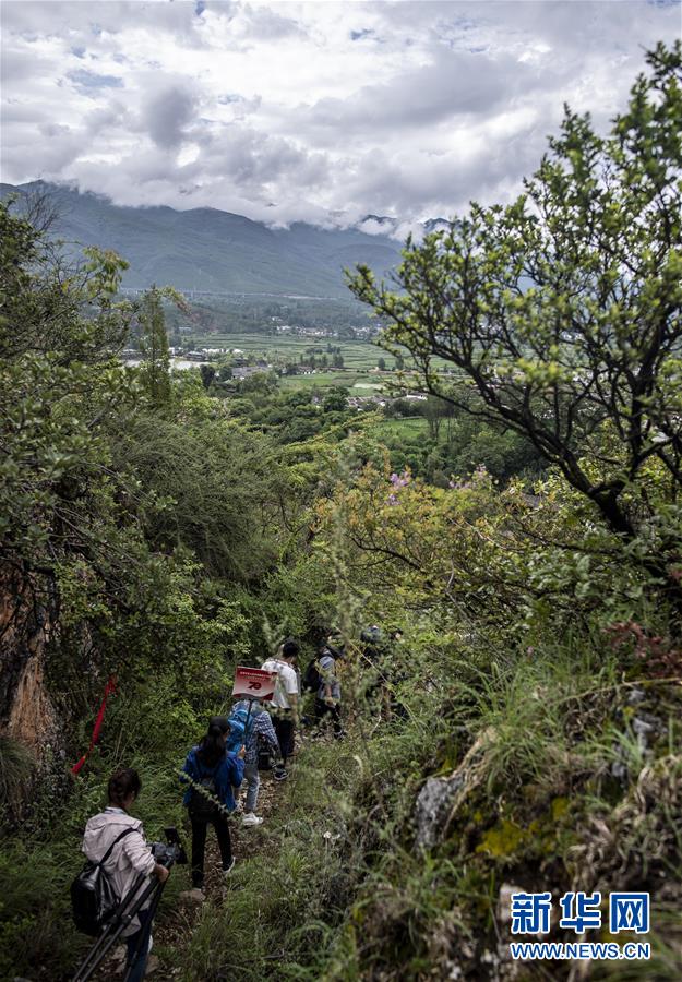 （壯麗70年&middot;奮斗新時(shí)代&mdash;&mdash;記者再走長征路&middot;圖文互動(dòng)）（2）麗江古城的紅色記憶