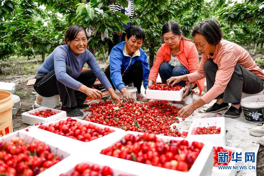 （在習(xí)近平新時代中國特色社會主義思想指引下&mdash;&mdash;新時代新作為新篇章&middot;圖文互動）（2）中條山下綠意濃&mdash;&mdash;一個&ldquo;資源窮縣&rdquo;的生態(tài)發(fā)展之路