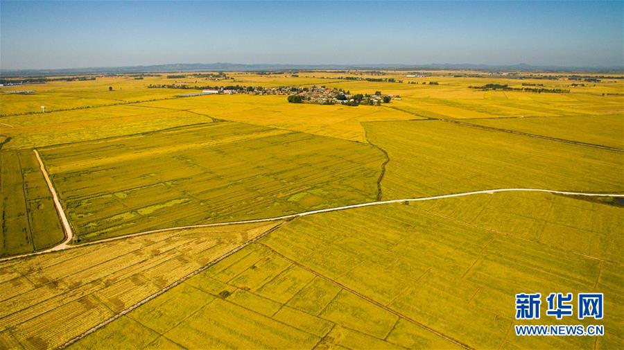 （在習近平新時代中國特色社會主義思想指引下&mdash;&mdash;新時代新作為新篇章&middot;圖文互動）（2）吉林萬昌現(xiàn)代農業(yè)發(fā)展先導區(qū)&ldquo;三變&rdquo; 